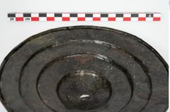 Foto von Bronzephalere (NHMW-PRAE-024553)